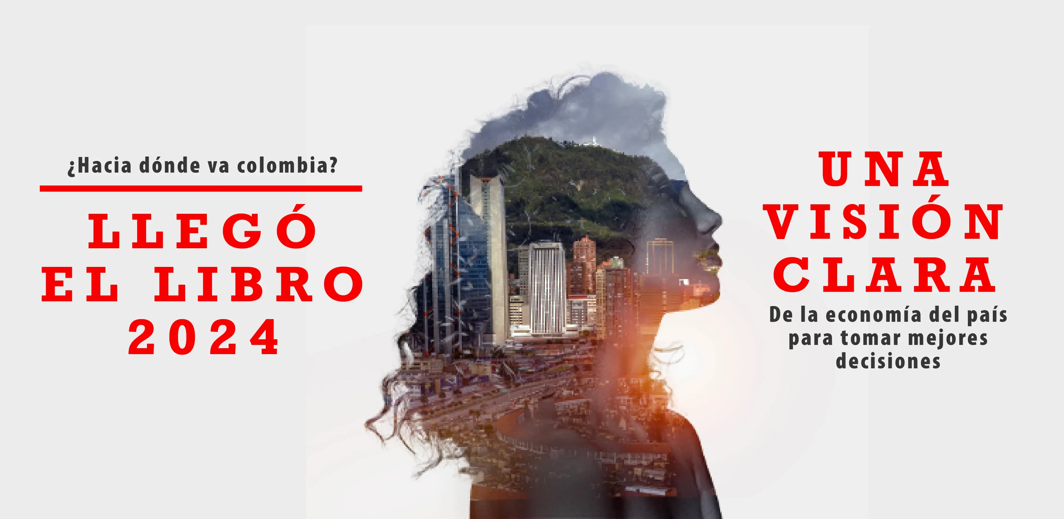 Silueta del rostro de una mujer con la ciudad de Bogotá en su interior, la cual representa una visión a la economía del país